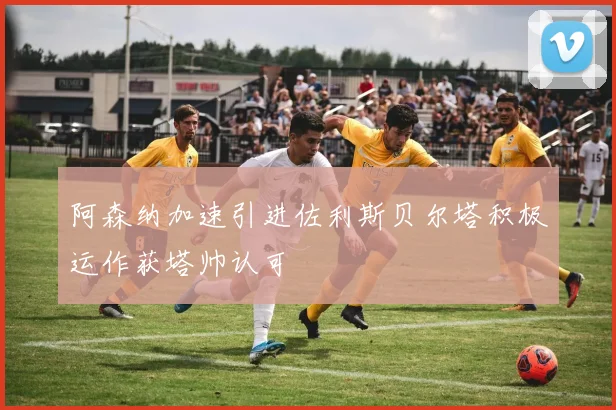 阿森纳加速引进佐利斯贝尔塔积极运作获塔帅认可