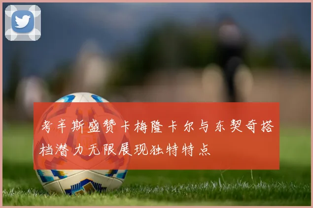 考辛斯盛赞卡梅隆卡尔与东契奇搭档潜力无限展现独特特点